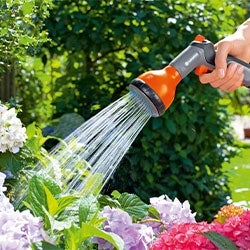 Poupar água no jardim