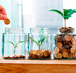 jarros com moedas e plantas a simbolizar sustentabilidade e poupança