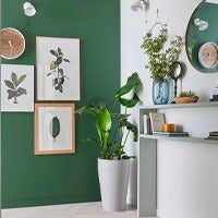 hall de entrada com parede pintada de verde seco, com quadros pendurados, um vaso de planta e um móvel pequeno